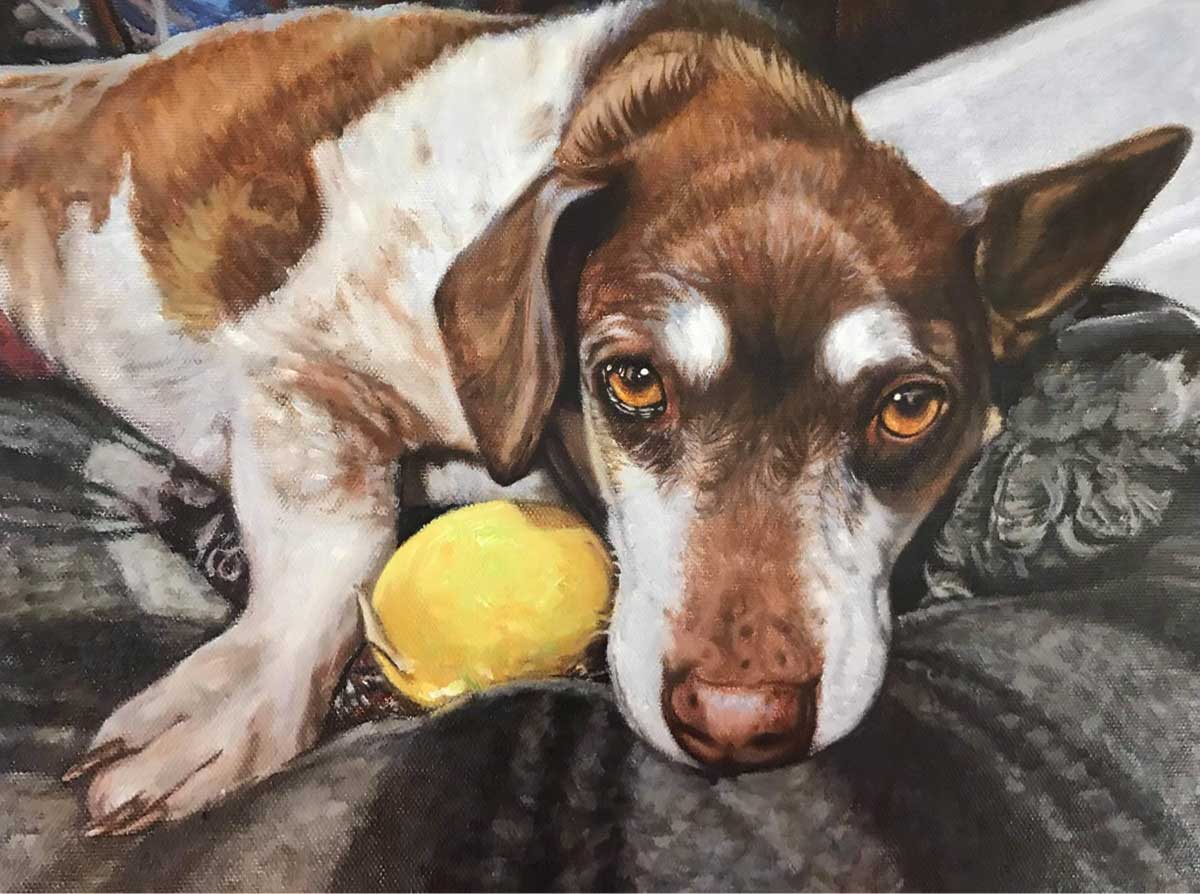 Brown pup Portrait